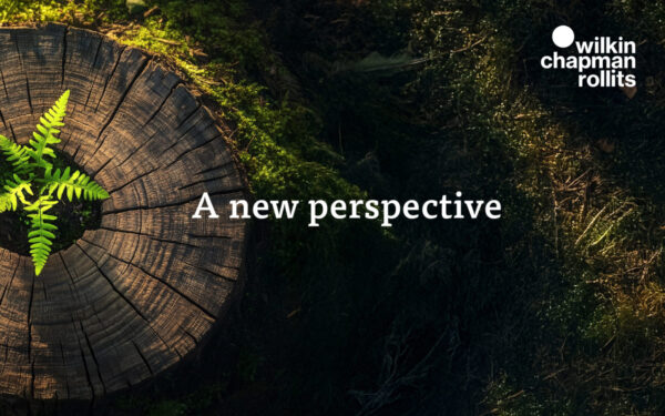 The Social Business Dilemma: Compliance or Commitment?